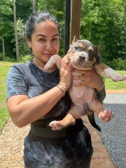 Tania James's puppy
