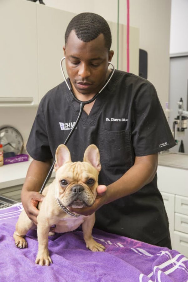 Dr. Liam Reyes