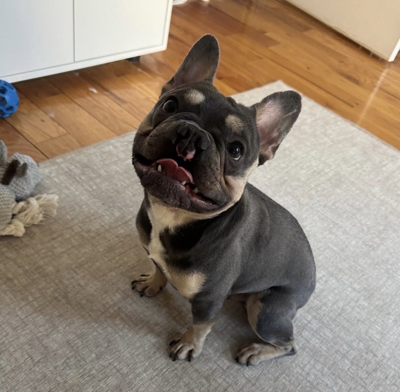 Coda