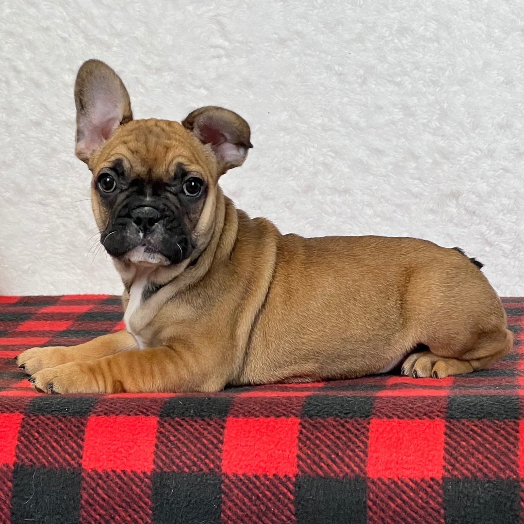 Delilah