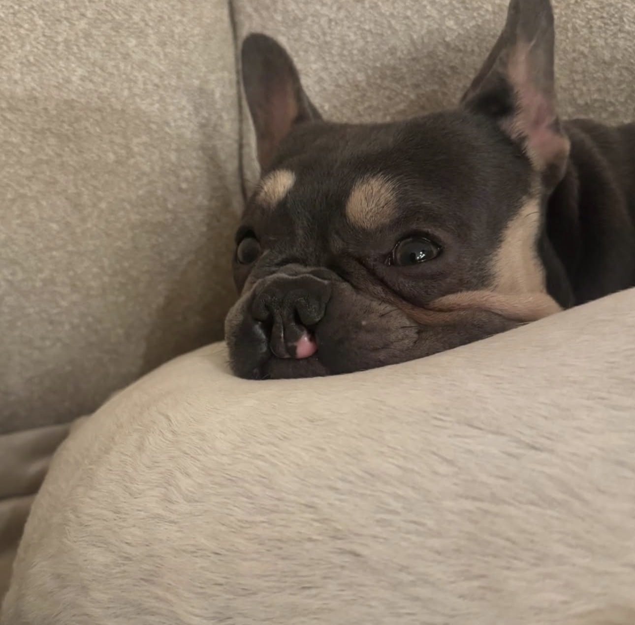 Coda
