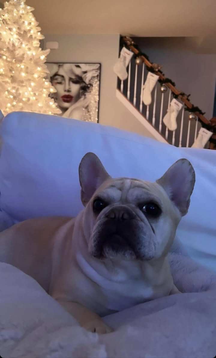 Carmelo